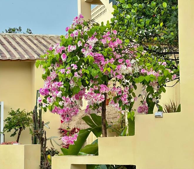 ?北海亲子游5天4晚价格跟团五日游报价不朽情缘电子游戏北海亲子跟团游多少钱(图3) ?北海亲子游5天4晚价格跟团五日游报价不朽情缘电子游戏北海亲子跟团游多少钱(图3)